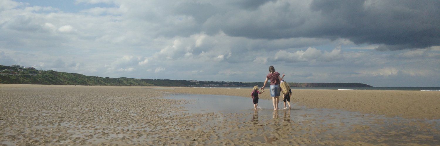 Vaillant Craig banner