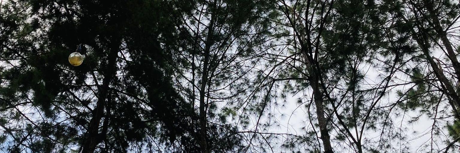 watermelonshak's profile banner image