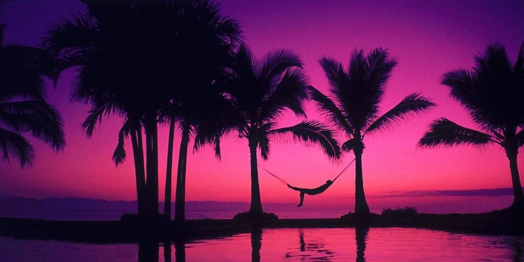 kuzeytekinoglu banner