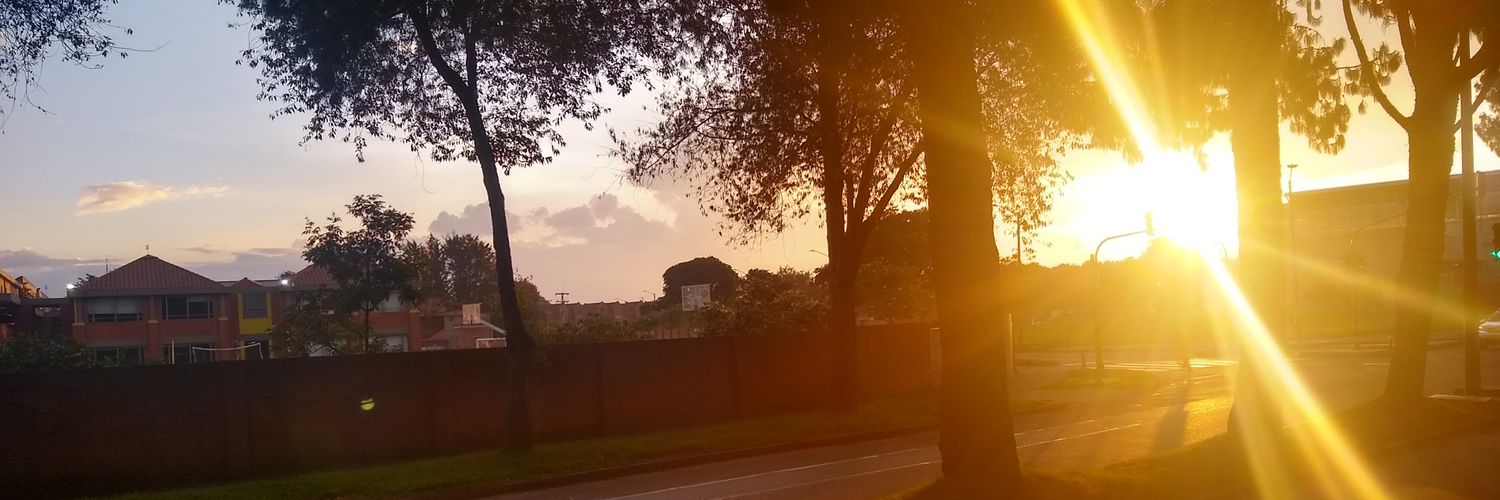 Zulma_Nov20's profile banner image