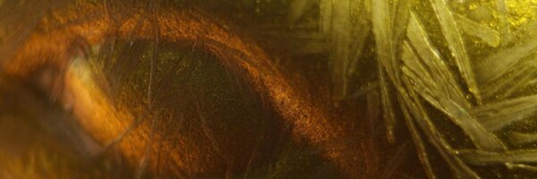 thinkDITA Profile Banner