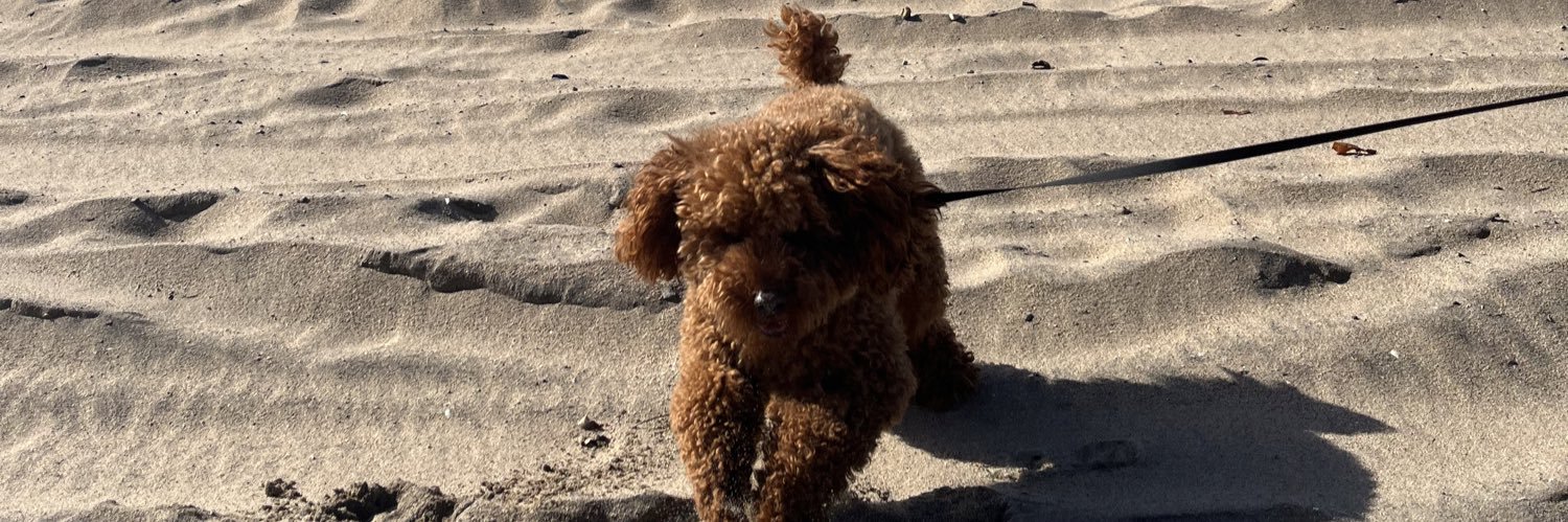 Veronica Matini banner