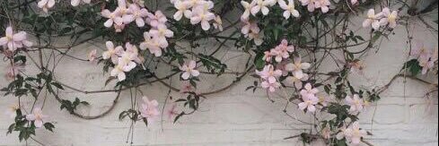 mallorygrayy_'s profile banner image