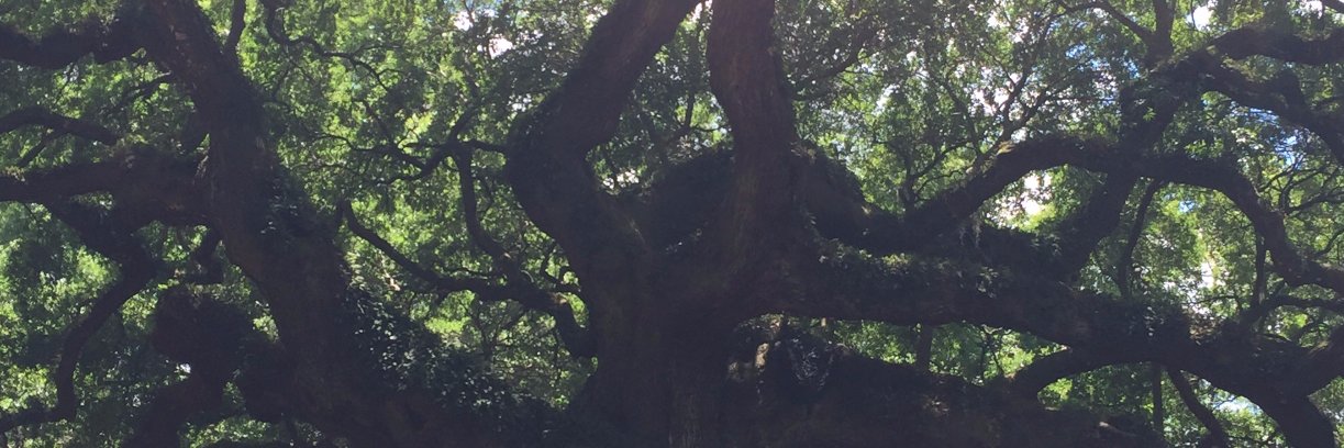 EmilyGuilbert's profile banner image