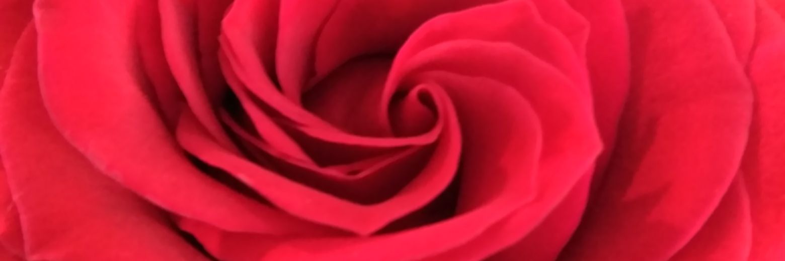 KARENAIMME's profile banner image