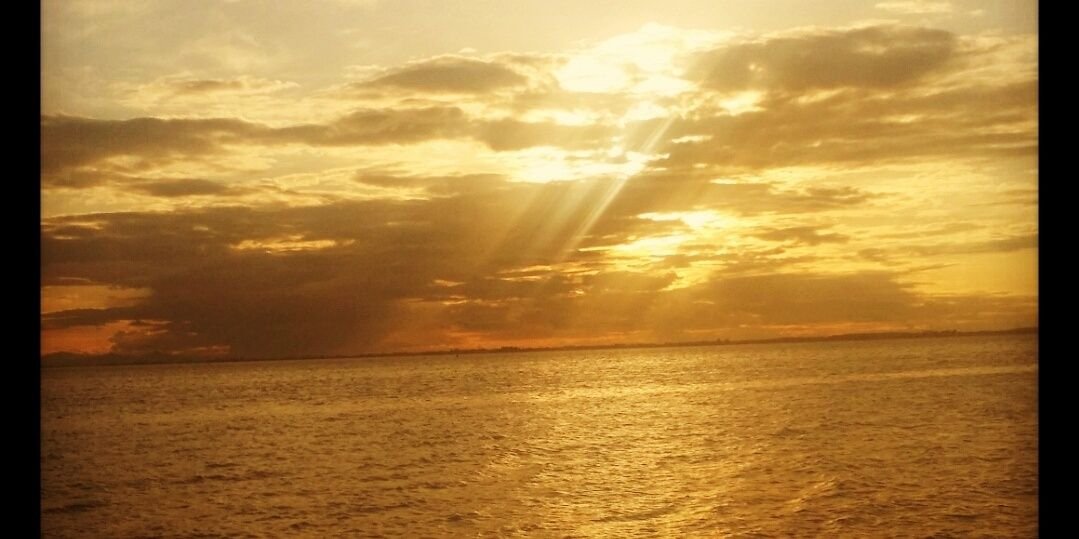 mishalidder's profile banner image