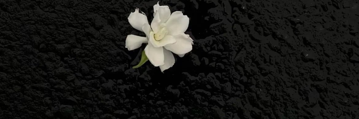 Kevin59908382's profile banner image