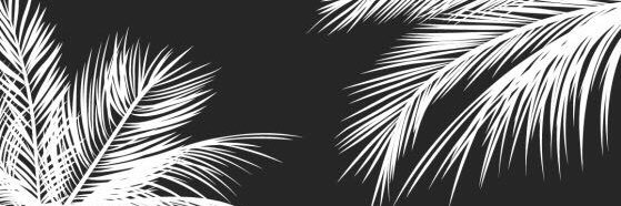 SoolBello's profile banner image