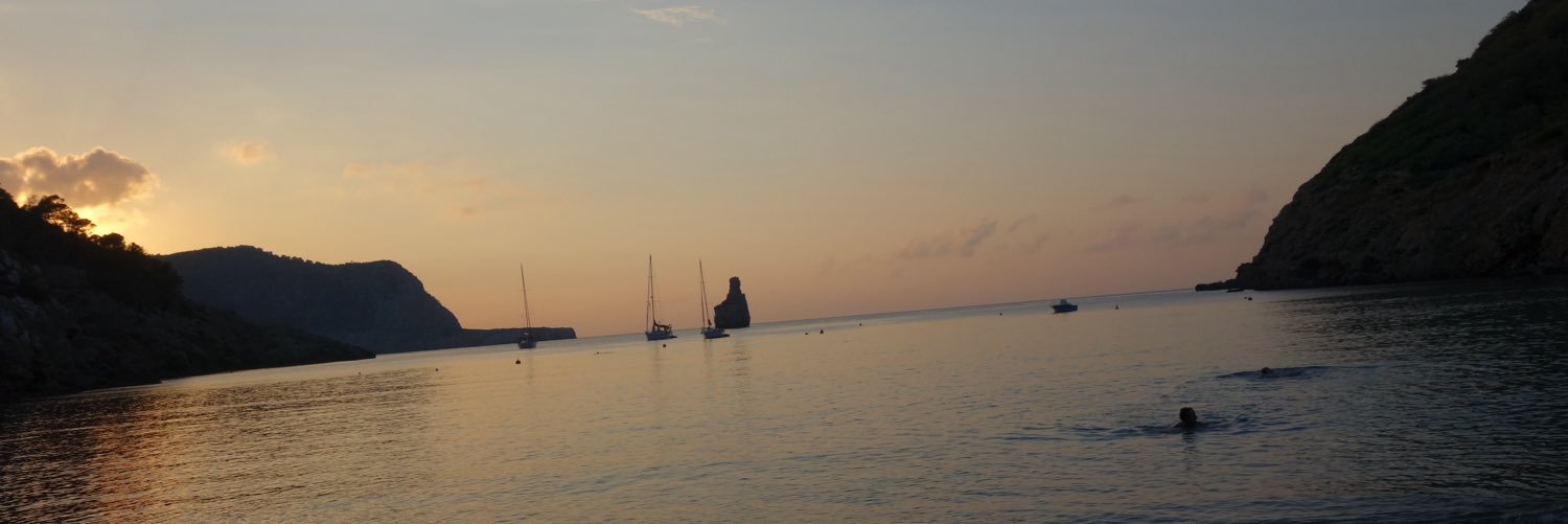 adiwyss's profile banner image