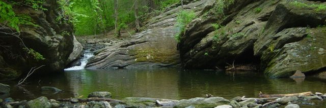 Dr. Hillary Steinberg banner