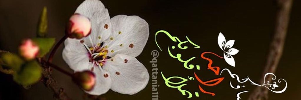 readrmohammed1's profile banner image