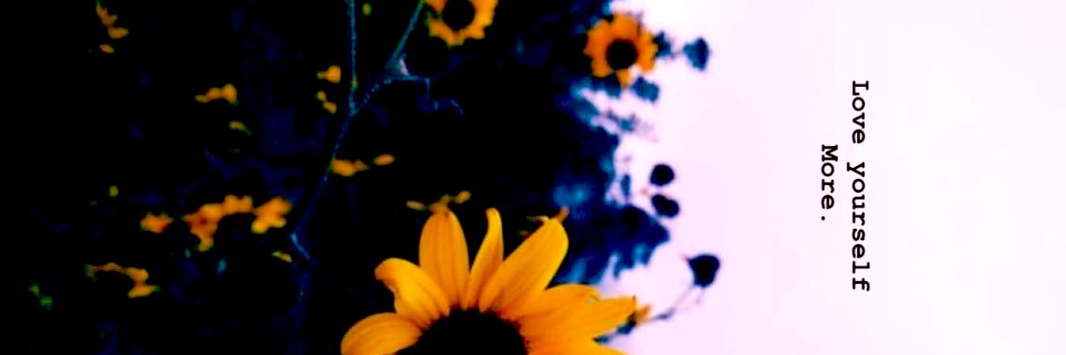 🌹🌻 banner