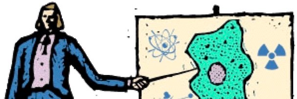 Elaine M. Zeman, PhD banner