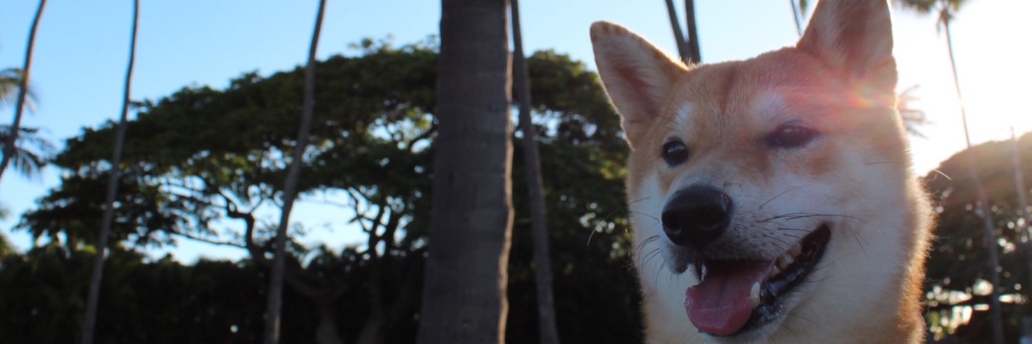 OyakawaRay's profile banner image