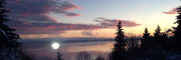 ALinthelibrary Profile Banner