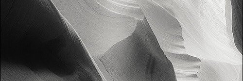 co banner