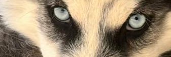Msbaghdad's profile banner image