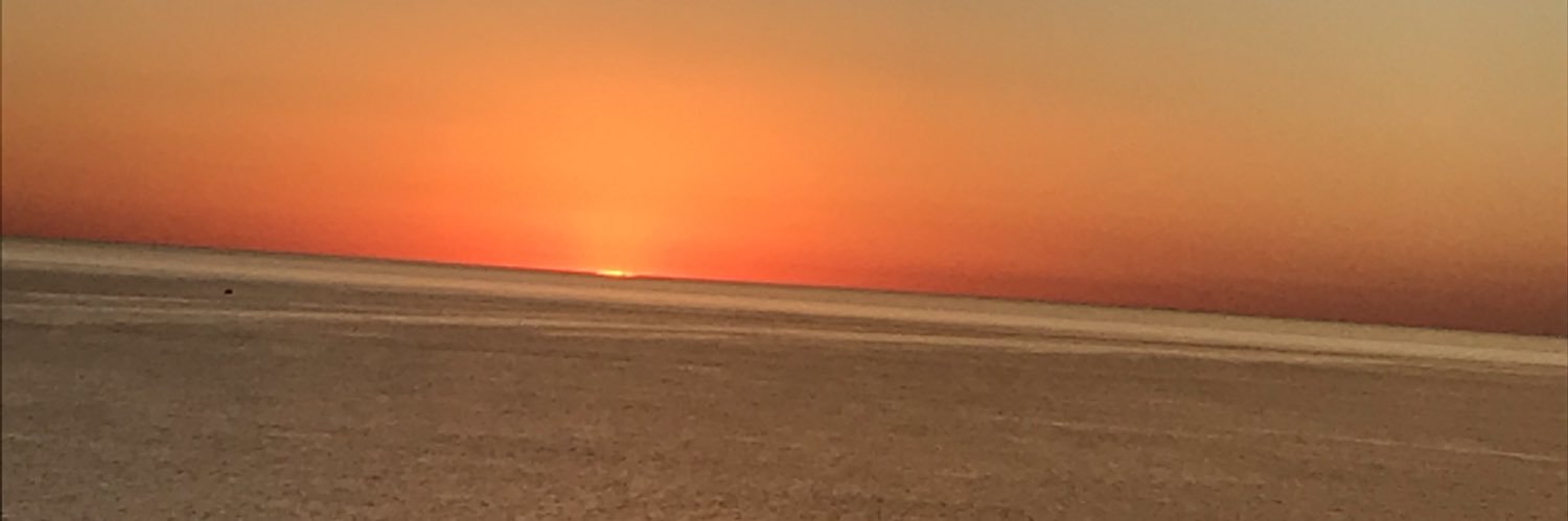 maritauriarte's profile banner image