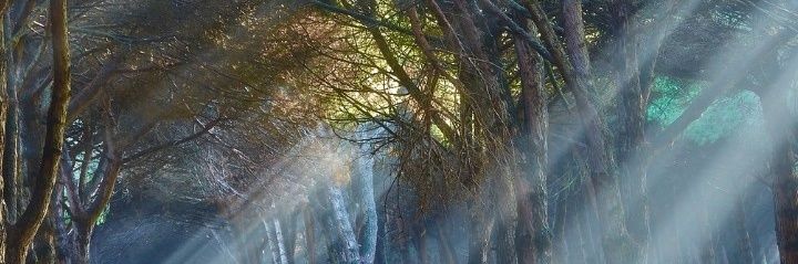abhishoo's profile banner image