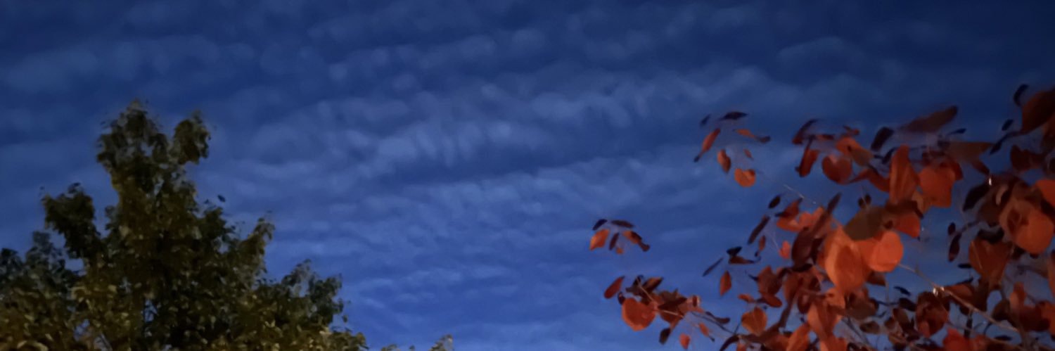 kagshor's profile banner image
