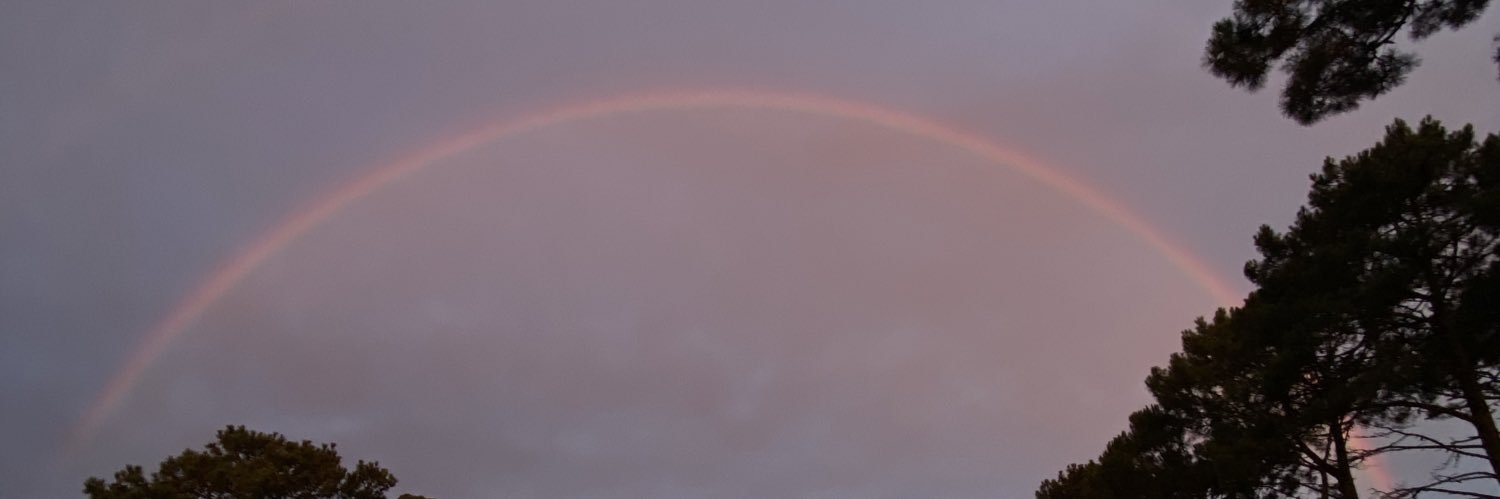 pilisuarez2's profile banner image