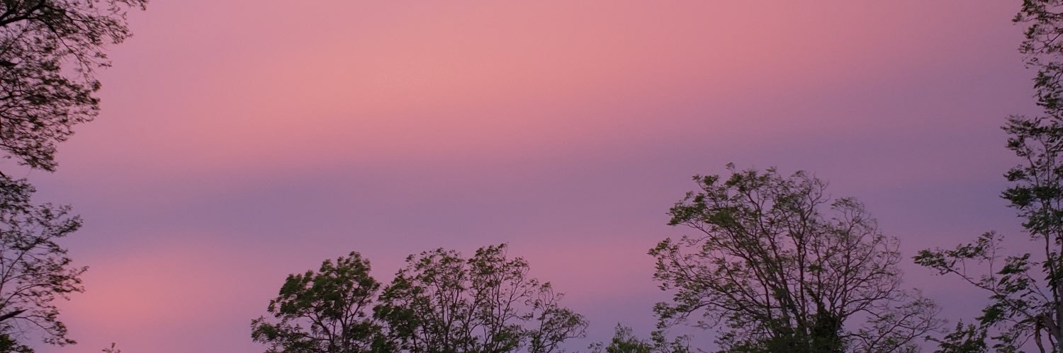 EarleyEmily's profile banner image