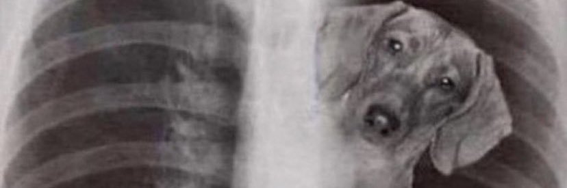 RickyMicheal's profile banner image