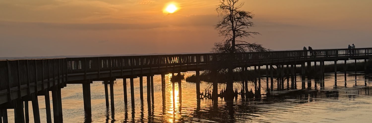 Samantha Reynolds banner