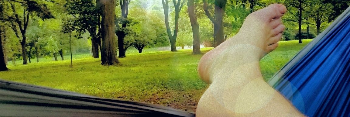 vanillagurilla's profile banner image