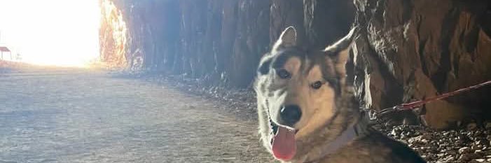 DjImDatKidd22's profile banner image