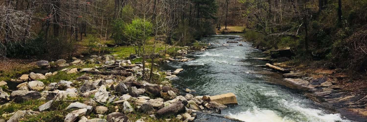 Nadia Phillips banner