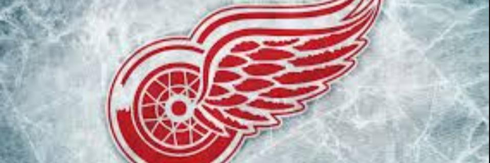 jenisock's profile banner image