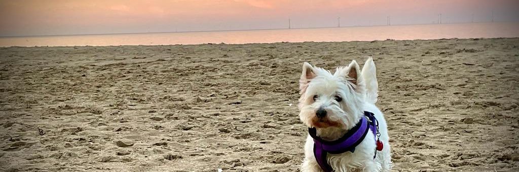 Kris Meredith 💎 banner