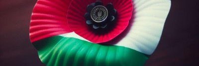 Sara Parry's banner