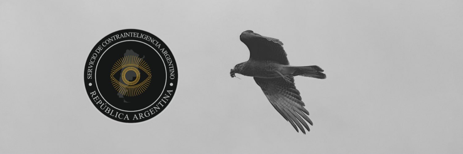 bernardo caputo banner