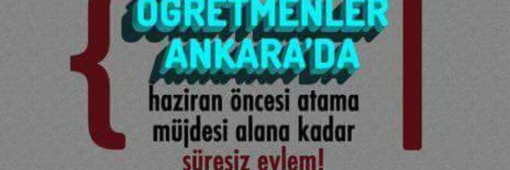 sedaa_edaa's profile banner image