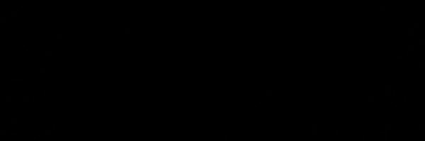 LANGFORDPUGH Profile Banner