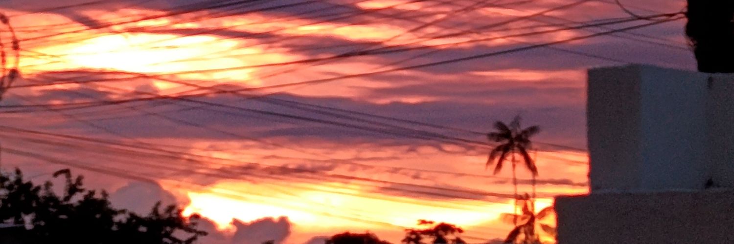 ecidele's profile banner image