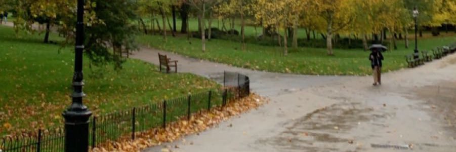 maynasser7's profile banner image
