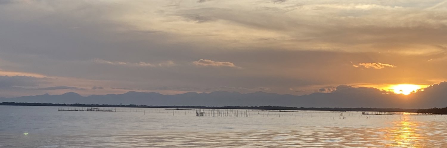 silverbeenie's profile banner image