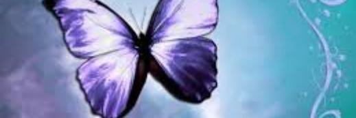 Gracebottalico's profile banner image