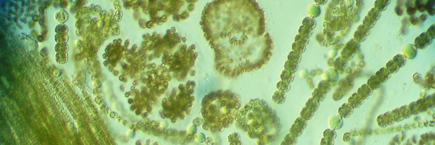 Miquel Lurling🟥 banner