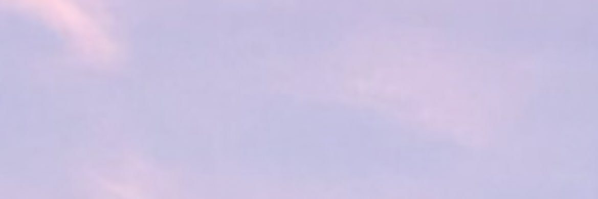 ‘ banner