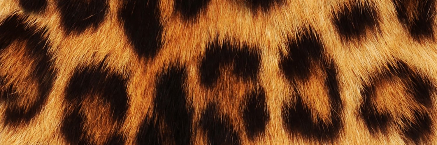 uykuperest's profile banner image