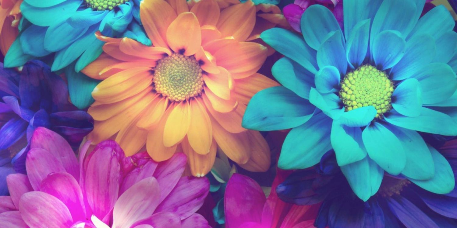 Jess_Lynn38's profile banner image