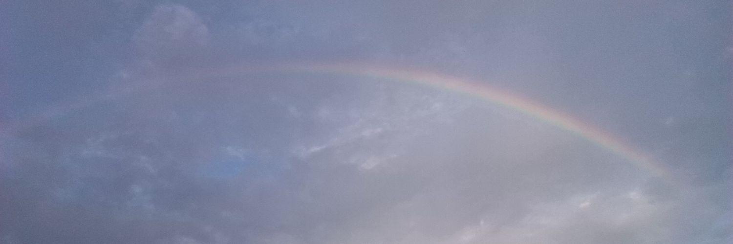JBerluis's profile banner image