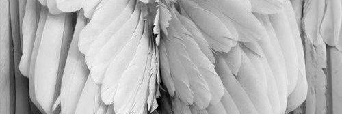 CindyDelpriore's profile banner image