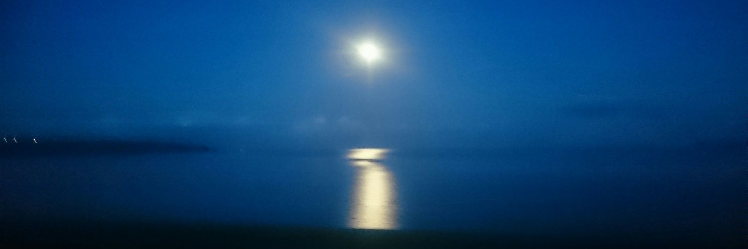 Louise Sullivan banner