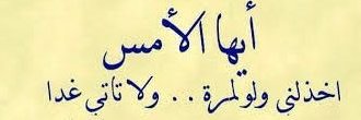 muradaleazimi4's profile banner image