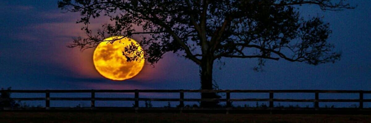 RickKnight7's profile banner image